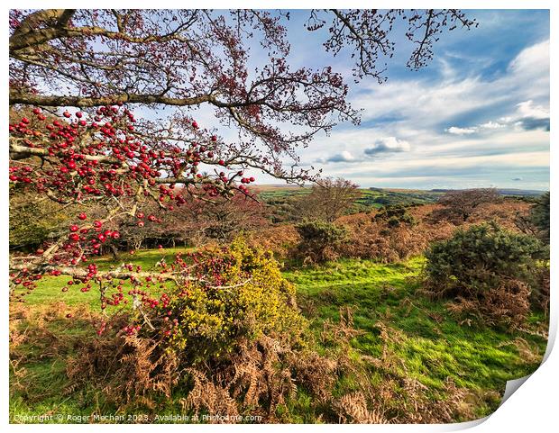 Autumn colours on Dartmoor Print by Roger Mechan
