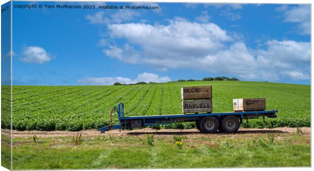Trailer in Field Canvas Print by Tom McPherson