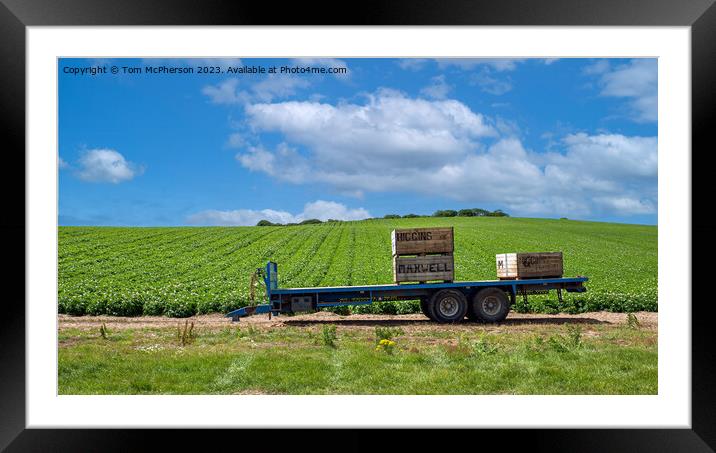 Trailer in Field Framed Mounted Print by Tom McPherson