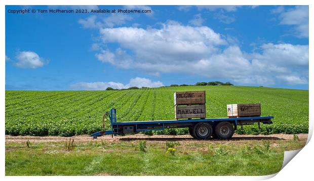 Trailer in Field Print by Tom McPherson