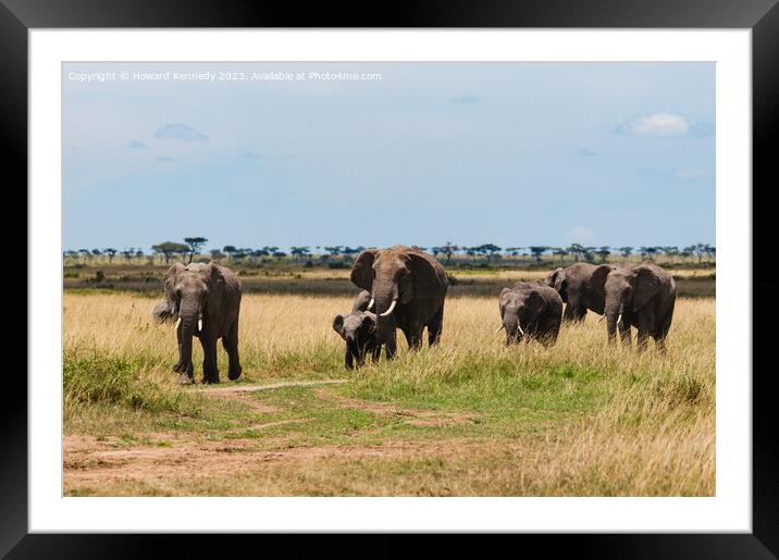 Elephant family crossing the savanna in a heat haze Framed Mounted Print by Howard Kennedy