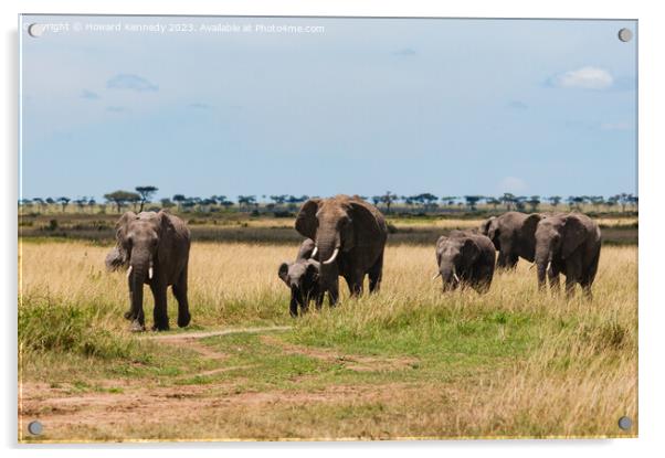 Elephant family crossing the savanna in a heat haze Acrylic by Howard Kennedy