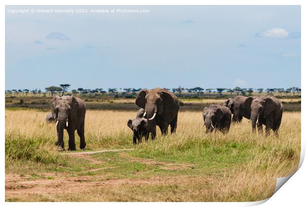 Elephant family crossing the savanna in a heat haze Print by Howard Kennedy