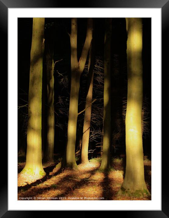 Sunlit woodland  Framed Mounted Print by Simon Johnson