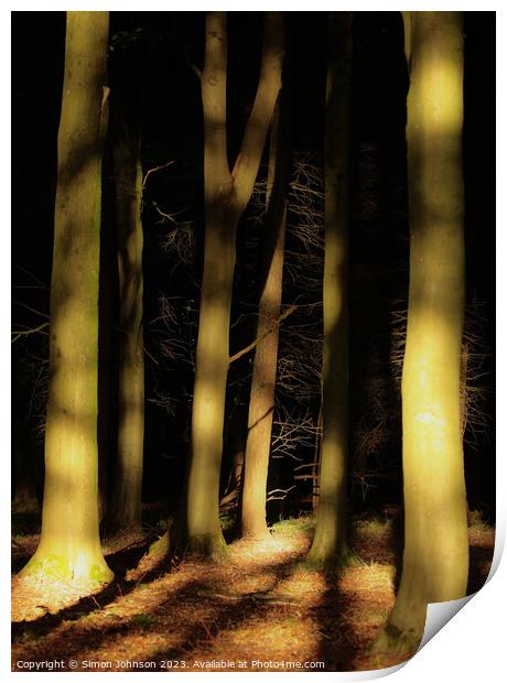Sunlit woodland  Print by Simon Johnson