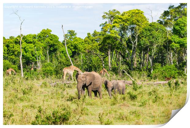 Elephant family browsing with Giraffe and Impala in the background Print by Howard Kennedy