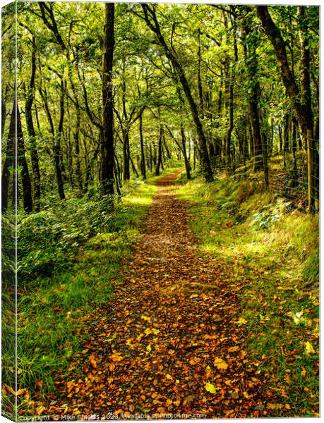 A Walk through Nature Canvas Print by Mike Shields