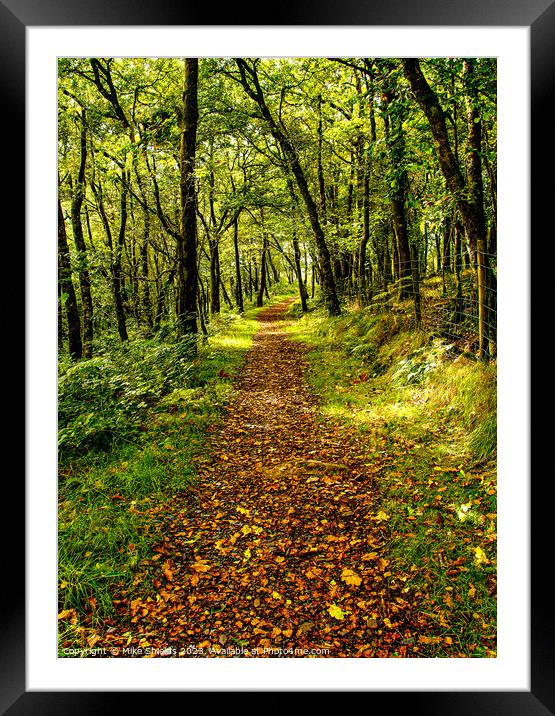 A Walk through Nature Framed Mounted Print by Mike Shields