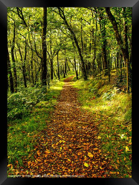 A Walk through Nature Framed Print by Mike Shields