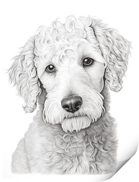Bedlington Terrier Pencil Drawing Print by K9 Art