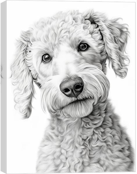 Bedlington Terrier Pencil Drawing Canvas Print by K9 Art