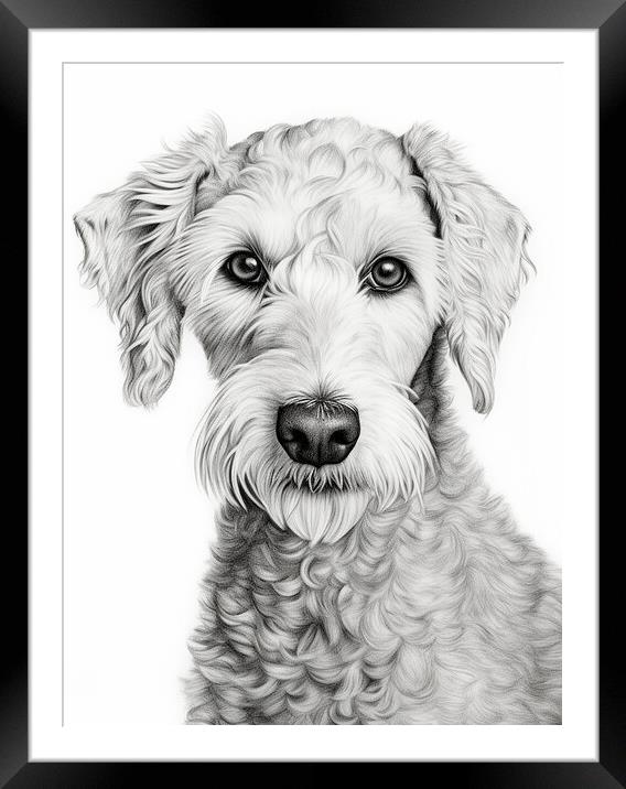 Bedlington Terrier Pencil Drawing Framed Mounted Print by K9 Art