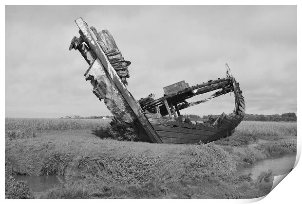 Shipwrecked  Print by Michael Mcinroy