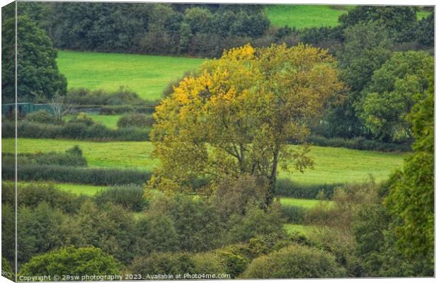 Alone in Change. Canvas Print by 28sw photography