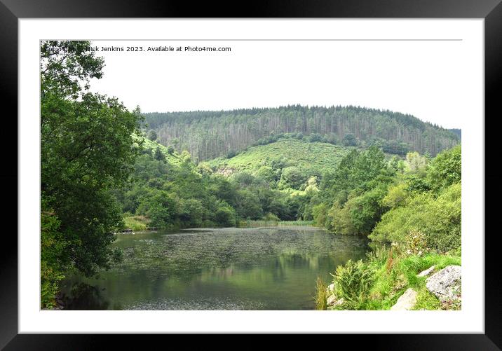 Pond at Clydach Vale Rhondda Valley South Wales Framed Mounted Print by Nick Jenkins
