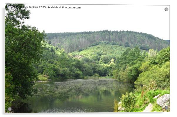 Pond at Clydach Vale Rhondda Valley South Wales Acrylic by Nick Jenkins