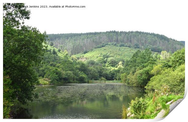 Pond at Clydach Vale Rhondda Valley South Wales Print by Nick Jenkins