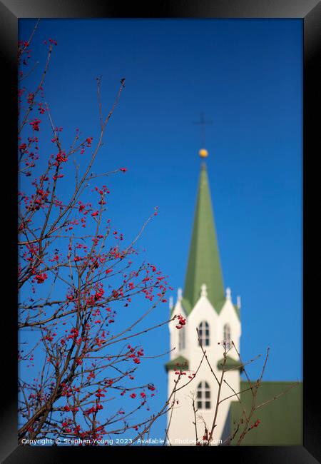Winter Tranquility: Reykjavik's Blurred Church and Red Berries Framed Print by Stephen Young