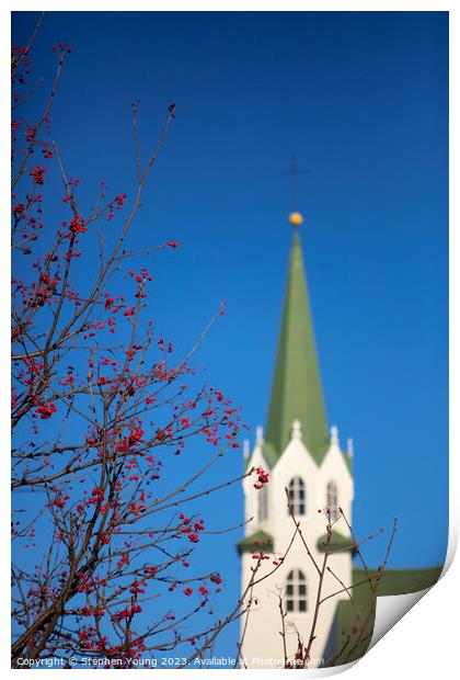 Winter Tranquility: Reykjavik's Blurred Church and Red Berries Print by Stephen Young