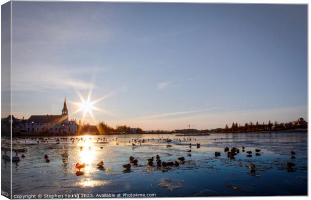 Winter Serenity: Ducks on Reykjavik's City Pond Canvas Print by Stephen Young