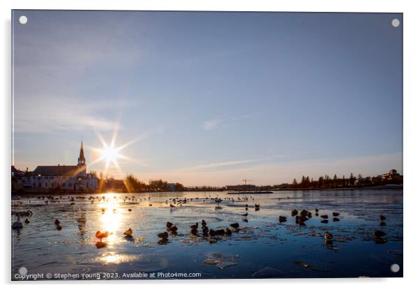 Winter Serenity: Ducks on Reykjavik's City Pond Acrylic by Stephen Young