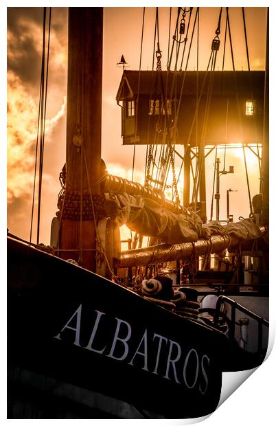 The Albatros  Print by Bryn Ditheridge