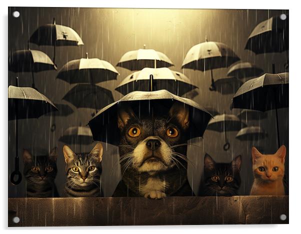 Raining Cats And Dogs Acrylic by Steve Smith