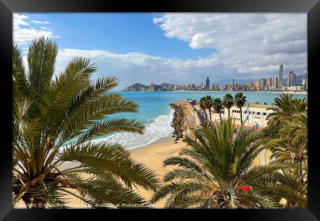 Through the Palm Trees Framed Print by Chris Mc Manus