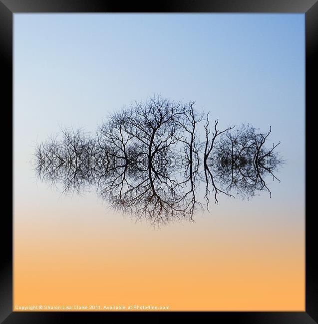Tree Tops Framed Print by Sharon Lisa Clarke