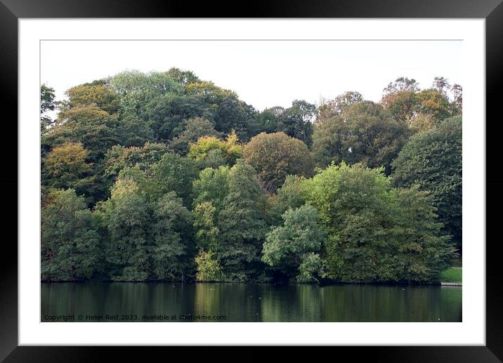 Autumn trees Framed Mounted Print by Helen Reid