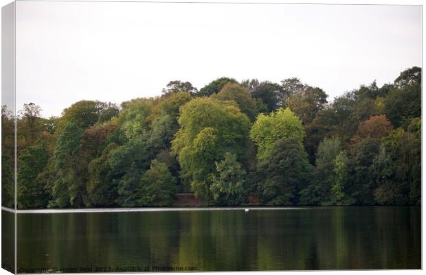 Autumn trees Canvas Print by Helen Reid