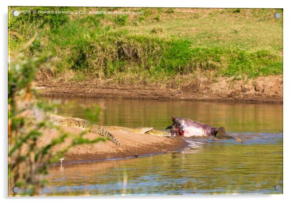 Crocodiles feeding on dead Hippo Acrylic by Howard Kennedy