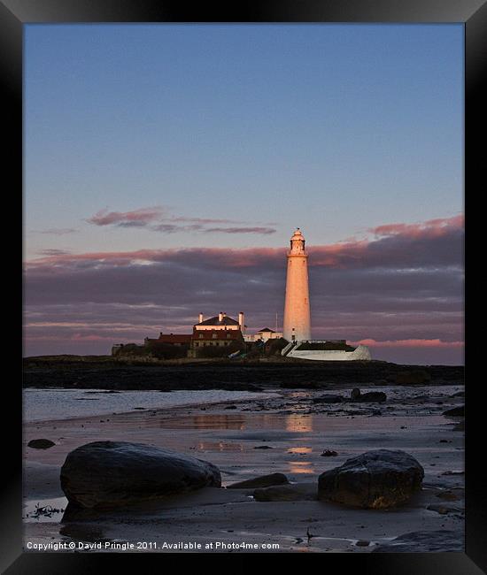 St Marys Lighthouse Sunset Framed Print by David Pringle