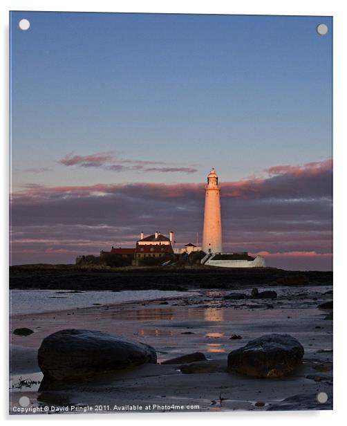 St Marys Lighthouse Sunset Acrylic by David Pringle