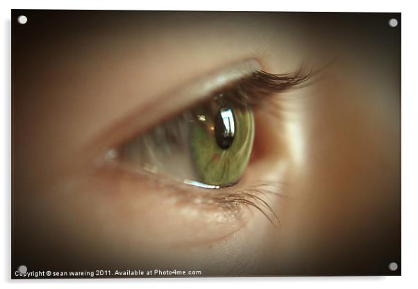 Eye spy Acrylic by Sean Wareing