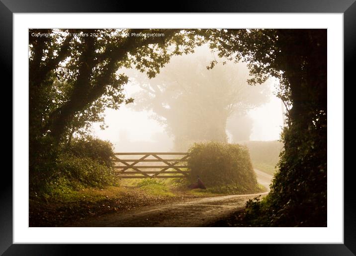 Misty Morning in the Country Framed Mounted Print by Terri Waters