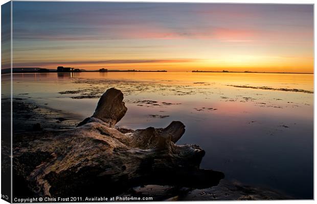 Stumped at Portland Breakwater Canvas Print by Chris Frost