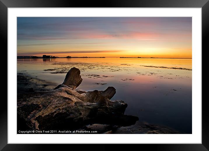 Stumped at Portland Breakwater Framed Mounted Print by Chris Frost