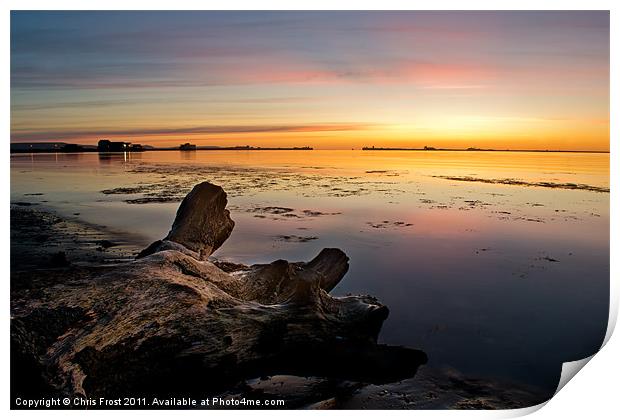 Stumped at Portland Breakwater Print by Chris Frost