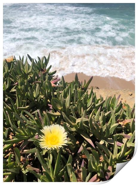 Yellow succulent flower with waves in the background Print by Lensw0rld 