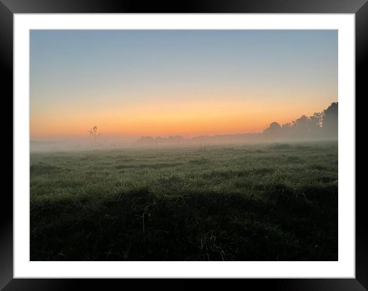 A sunset over a grassy field Framed Mounted Print by Lensw0rld 