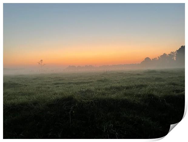 A sunset over a grassy field Print by Lensw0rld 