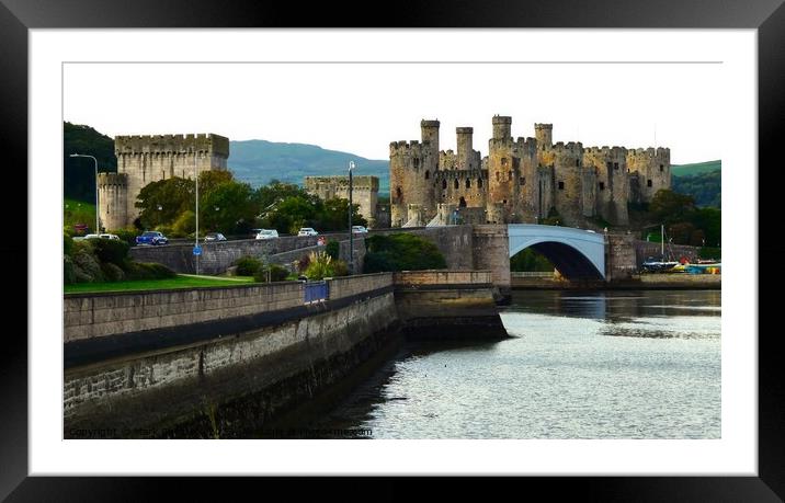 Conwy Castle and river Framed Mounted Print by Mark Chesters