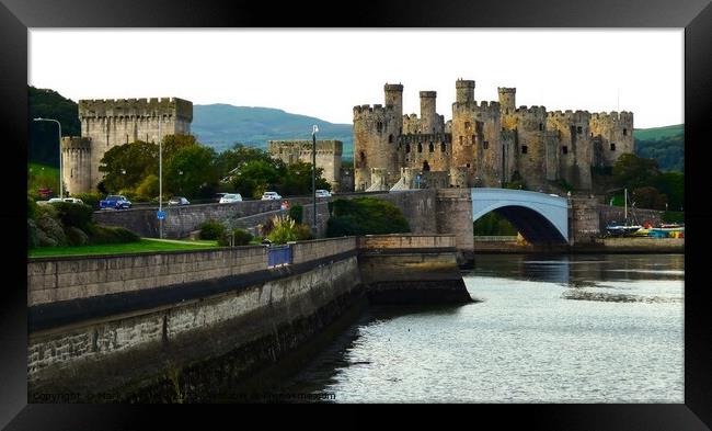 Conwy Castle and river Framed Print by Mark Chesters