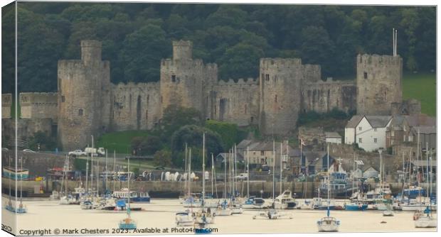 Close up view of Conwy castle Canvas Print by Mark Chesters