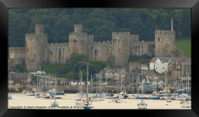 Close up view of Conwy castle Framed Print by Mark Chesters