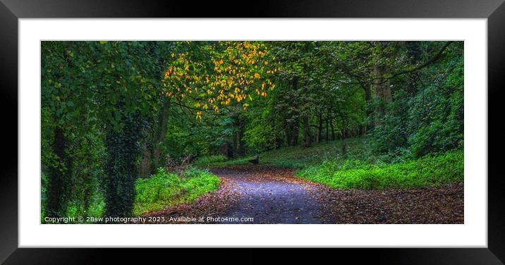 A slice of Autumn and Light - (Panorama.) Framed Mounted Print by 28sw photography
