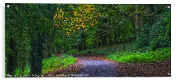 A slice of Autumn and Light - (Panorama.) Acrylic by 28sw photography