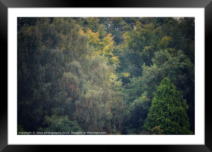 The colours of The Urban Fall. Framed Mounted Print by 28sw photography
