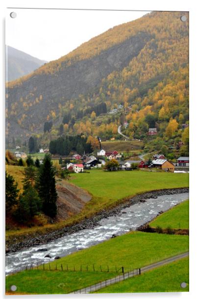 Flamsdalen Valley Flam Norway Scandinavia Acrylic by Andy Evans Photos